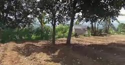 Kode : 19882 (Ad), Dijual tanah sukaraja, luas 984 m2, Bogor