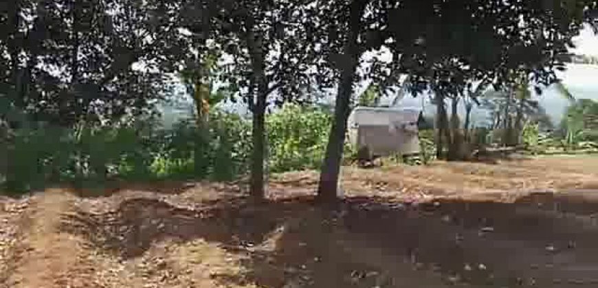 Kode : 19882 (Ad), Dijual tanah sukaraja, luas 984 m2, Bogor