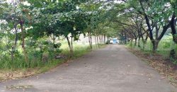 Kode : 19765 (Dj/Br), Dijual gudang jatake, luas 26.350 m2, tangerang