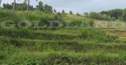 Kode : 17212 (Si),Dijual tanah ciharu,luas 46.000 m2,Banten