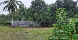 Kode : 17213 (Si), Dijual tanah kampung pasir,Luas 2500 m2, banten