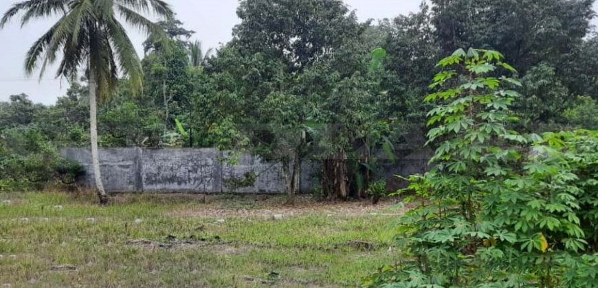 Kode : 17213 (Si), Dijual tanah kampung pasir,Luas 2500 m2, banten