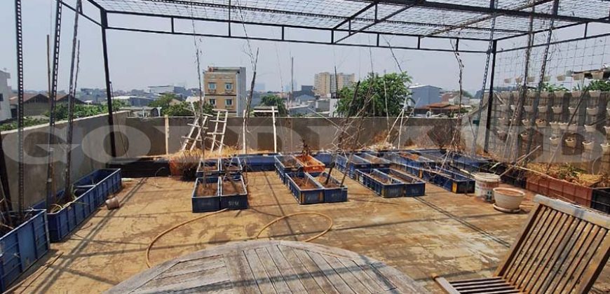 Kode : 20193 (Ha),Disewa ruko grogol,luas 72,25 m2, Jakarta barat