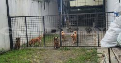 Kode : 20198 (Ha),Dijual gudang citarum,luas 2019 m2,Bandung