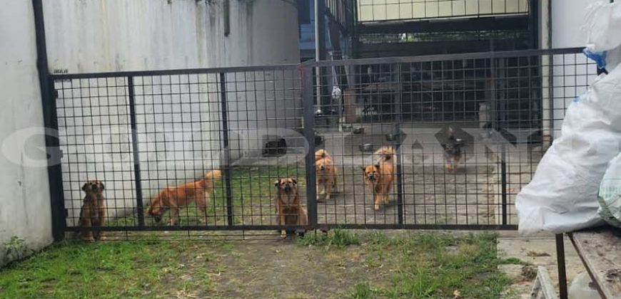 Kode : 20198 (Ha),Dijual gudang citarum,luas 2019 m2,Bandung