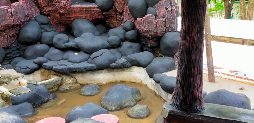 Kode : 16932 (Ha),Disewa rumah sunter,luas 260 m2,Jakarta Utara