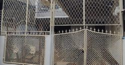 Kode : 02832 (Si),Dijual/sewa rumah pegangsaan,luas 108 m2,Jakarta Utara