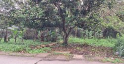 Kode : 20733 (Br/At),Dijual tanah sodong,luas 7390 m2,Tangerang