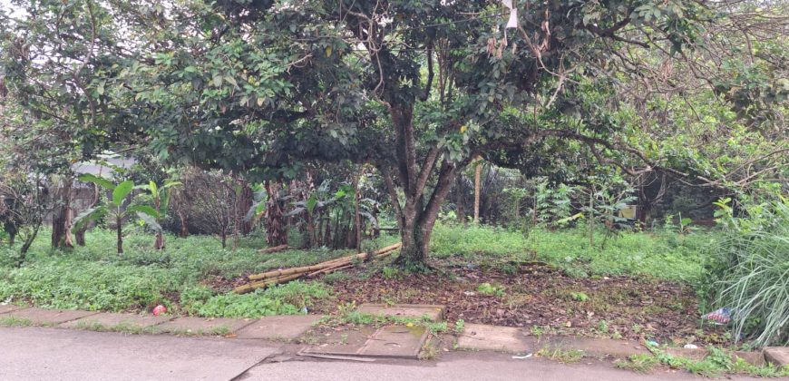 Kode : 20733 (Br/At),Dijual tanah sodong,luas 7390 m2,Tangerang