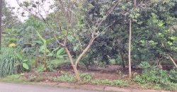 Kode : 20733 (Br/At),Dijual tanah sodong,luas 7390 m2,Tangerang