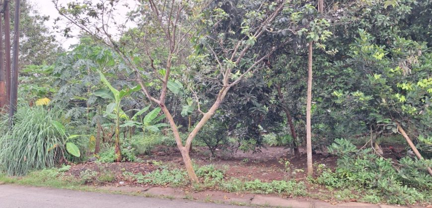 Kode : 20733 (Br/At),Dijual tanah sodong,luas 7390 m2,Tangerang