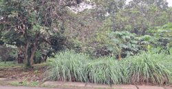 Kode : 20733 (Br/At),Dijual tanah sodong,luas 7390 m2,Tangerang