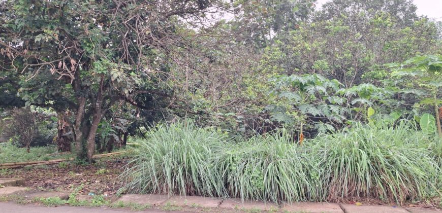 Kode : 20733 (Br/At),Dijual tanah sodong,luas 7390 m2,Tangerang