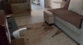Apartemen Disewa Menara Jakarta, Full Furnish, Luas 49 Meter, Kode :21105 Si