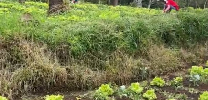 Kavling Dijual Bandung, Luas 8 Hektar, Kode :21248 Bu