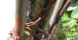 Rumah Tua Dijual Pasar Baru, Luas 8×30 Meter, Kode :21257 Si