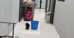 Rumah Dijual Sunter, Luas 11×28 Meter, Kode :21287 Si